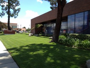 Landscape Maintenance in Downey - Turf