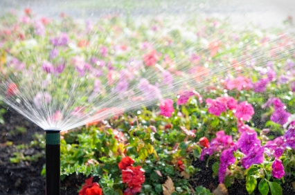 New Watering Schedule for LADWP Customers